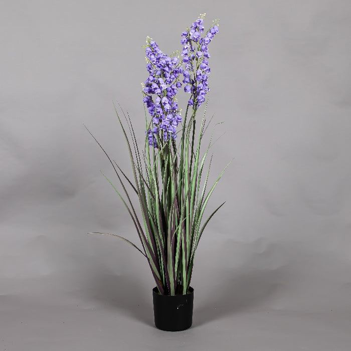 LONGJIN 36INCH BELLFLOWER GRASS WITH PLASTIC POT (413252048)