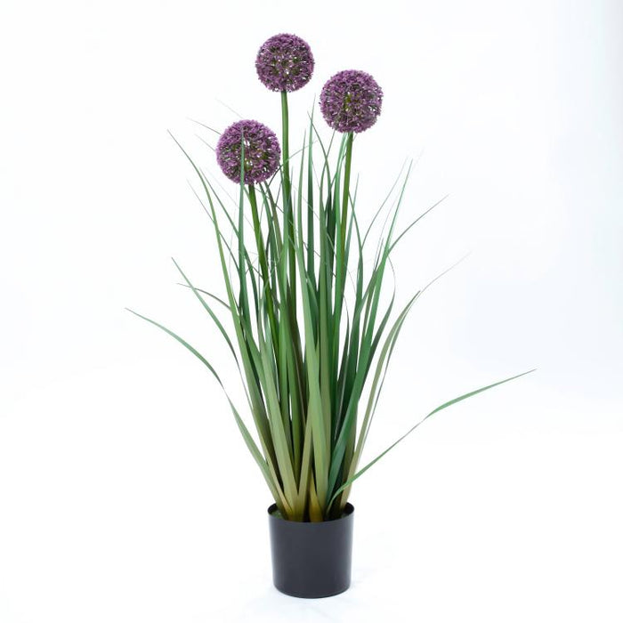 LONGJIN-31.5" ALLIUM GRASS PURPLE (413252239)