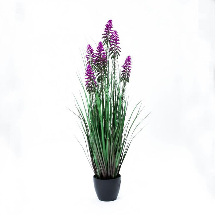 LONGJIN-36" FLOWER GRASS PURPLE (413252233)