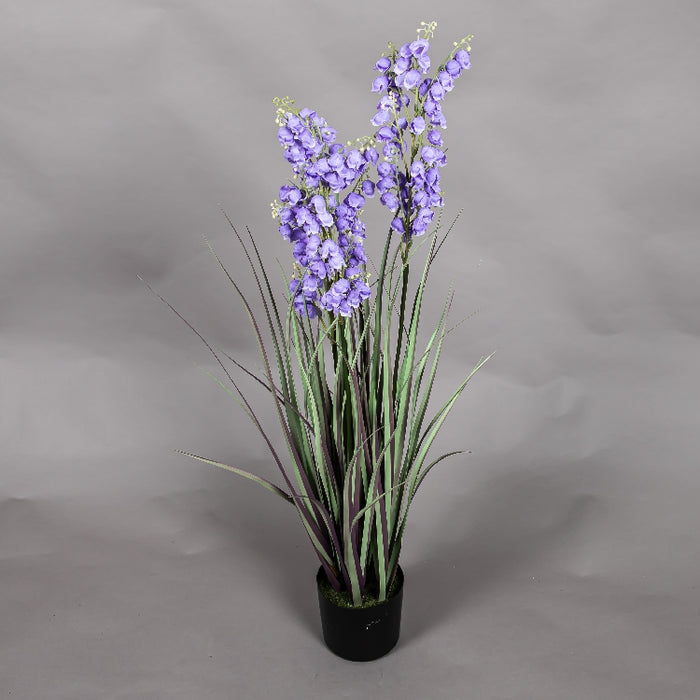 LONGJIN 36INCH BELLFLOWER GRASS WITH PLASTIC POT (413252048)