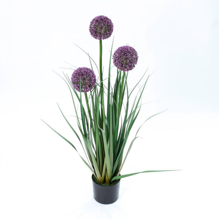 LONGJIN-31.5" ALLIUM GRASS PURPLE (413252239)