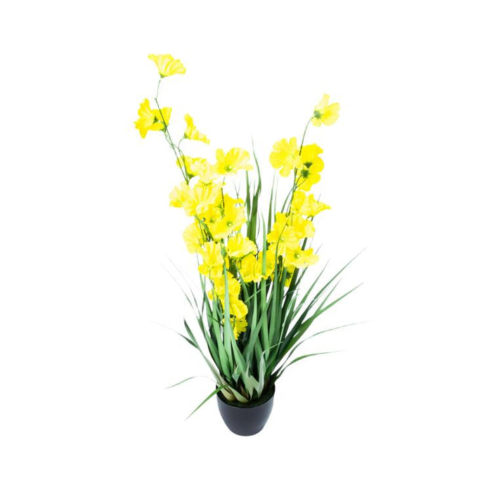 LONGJIN-36" MORNING GLORY YELLOW (413252248)