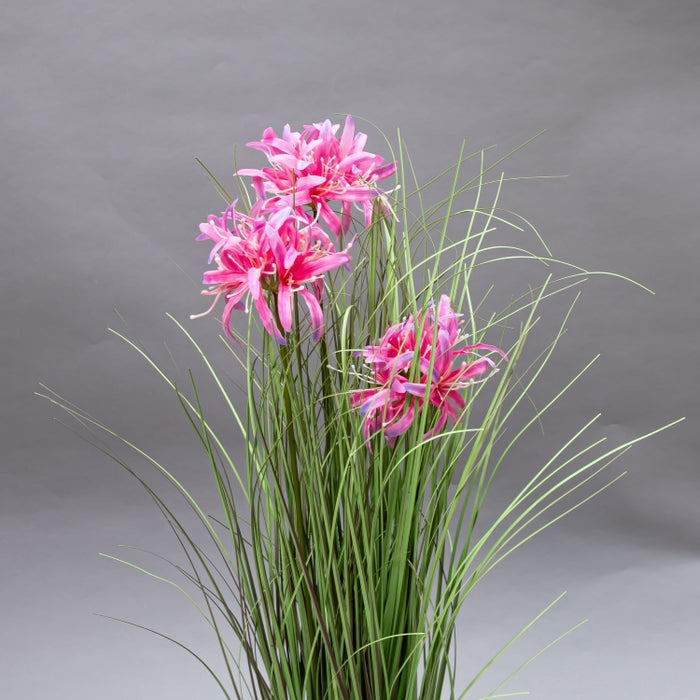 LONGJN-70CM PINK MAGI LILY GRASS (413252190)