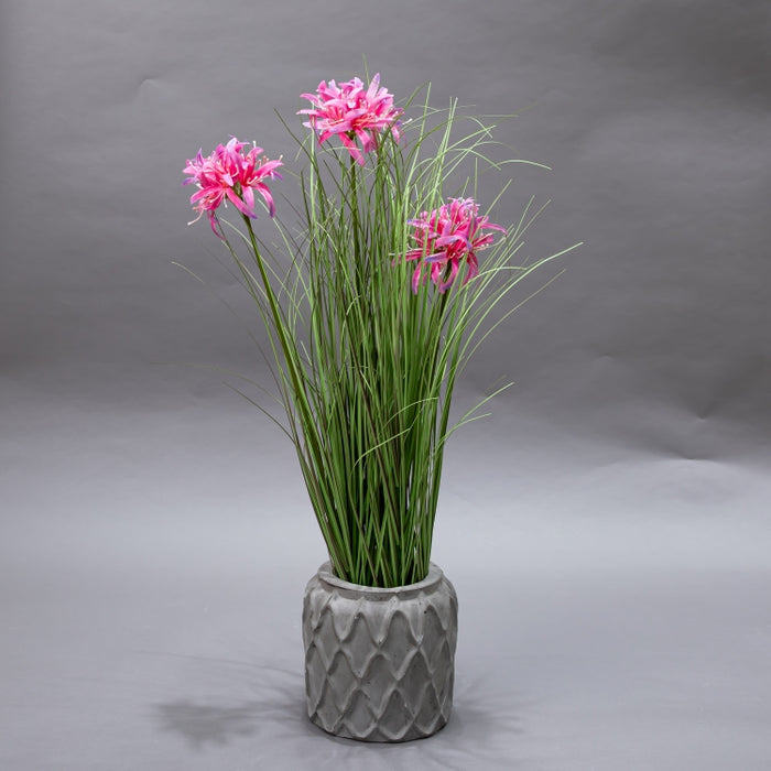 LONGJN-70CM PINK MAGI LILY GRASS (413252190)