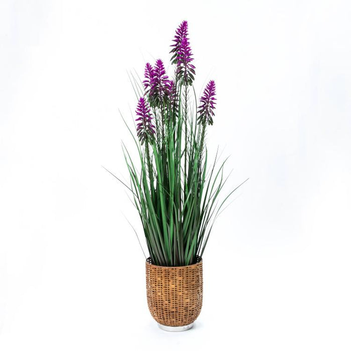 LONGJIN-36" FLOWER GRASS PURPLE (413252233)