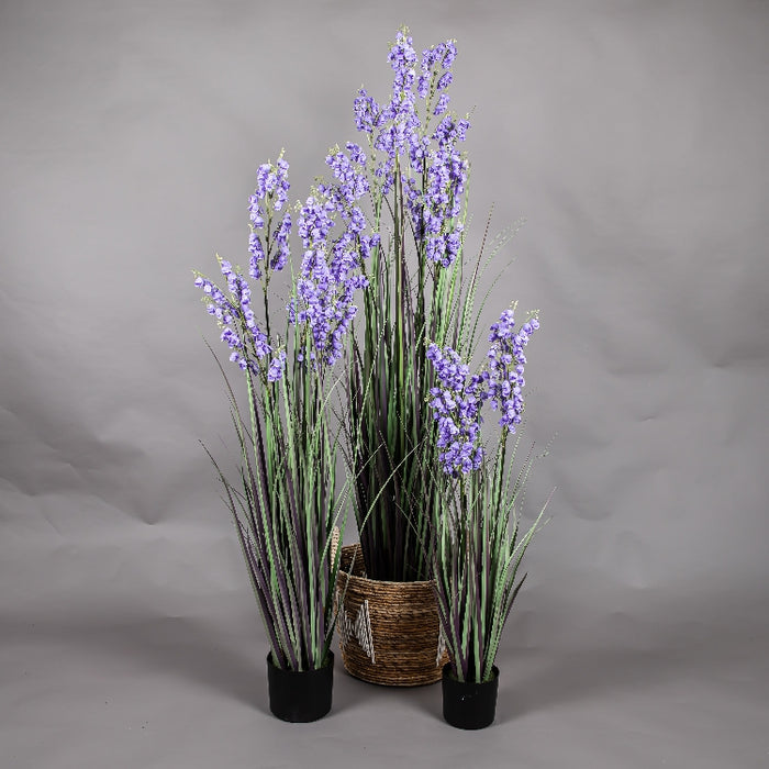 LONGJIN 36INCH BELLFLOWER GRASS WITH PLASTIC POT (413252048)