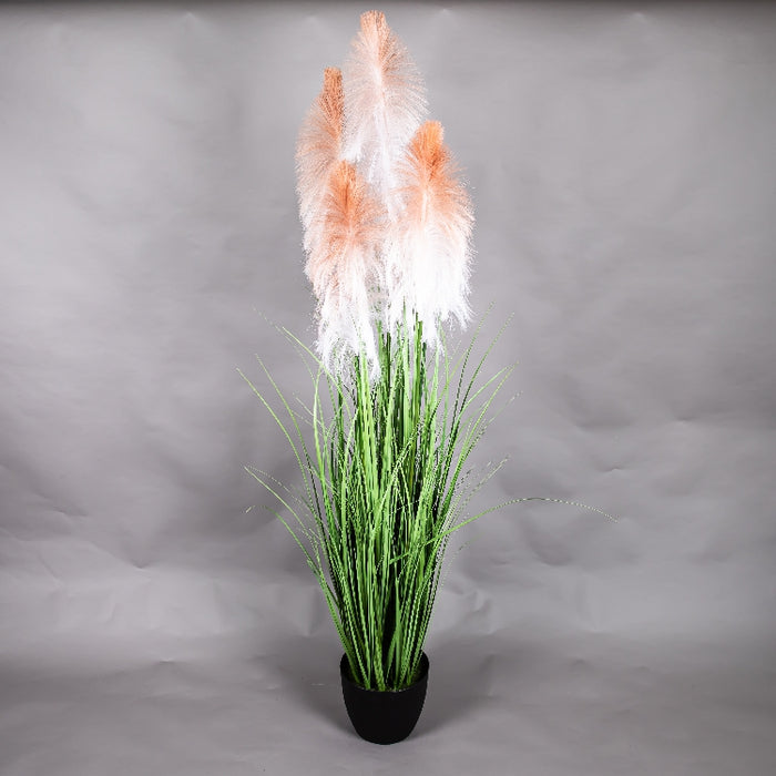 LONGJIN 72INCH PLUME GRASS WITH PLASTIC POT (413252058)