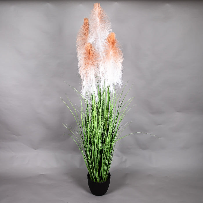 LONGJIN 72INCH PLUME GRASS WITH PLASTIC POT (413252058)