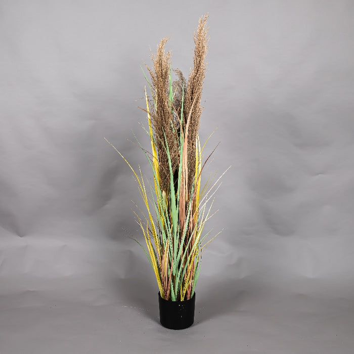 LONGJIN 48INCH DRIED PAMPAS GRASS WITH PLASTIC POT (413252062)