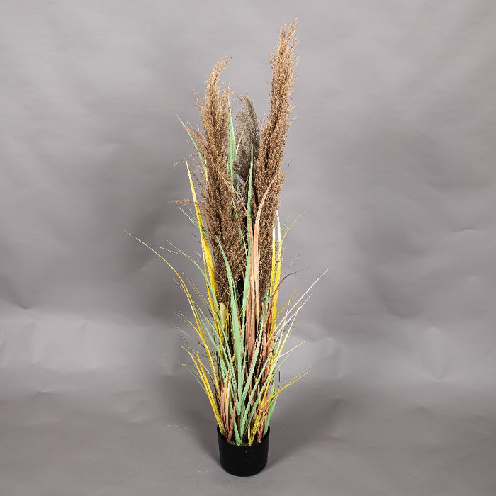 LONGJIN 48INCH DRIED PAMPAS GRASS WITH PLASTIC POT (413252062)