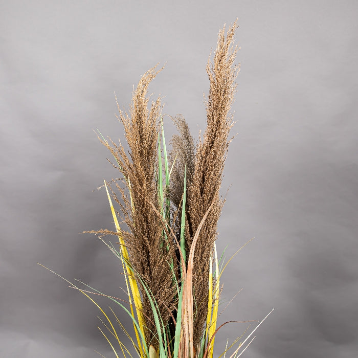 LONGJIN 48INCH DRIED PAMPAS GRASS WITH PLASTIC POT (413252062)