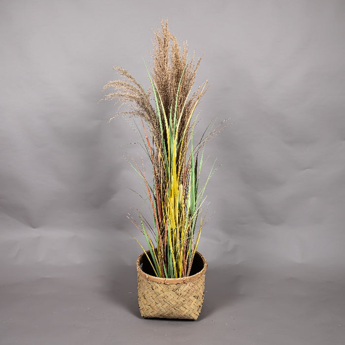 LONGJIN 48INCH DRIED PAMPAS GRASS WITH PLASTIC POT (413252062)