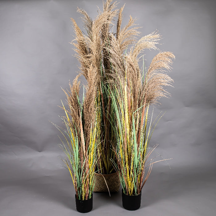 LONGJIN 48INCH DRIED PAMPAS GRASS WITH PLASTIC POT (413252062)