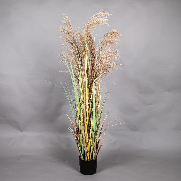 LONGJIN 60INCH DRIED PAMPAS GRASS WITH PLASTIC POT (413252063)