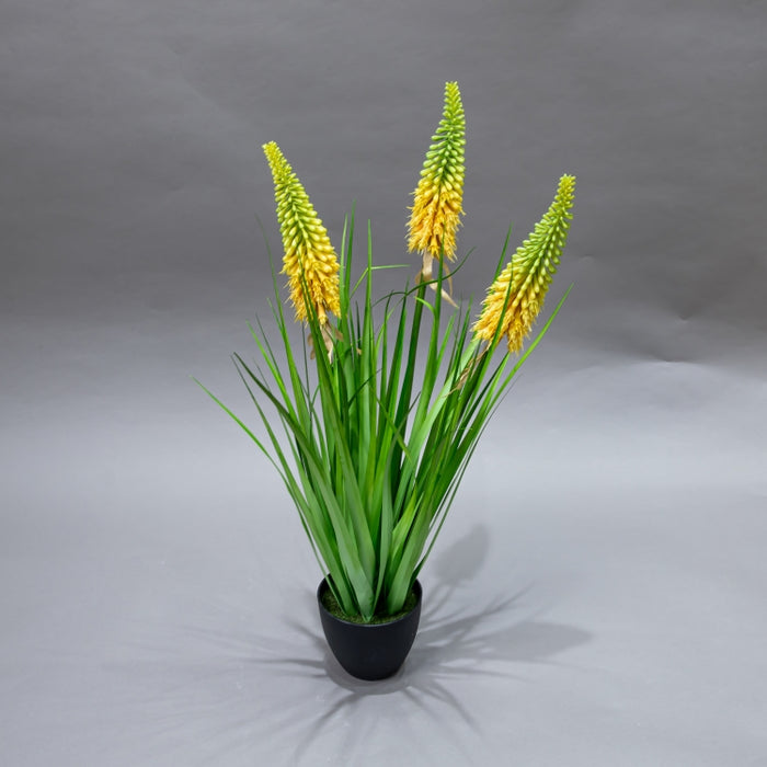 LONGJIN-70CM TORCH LILY GRD GR (413252211)