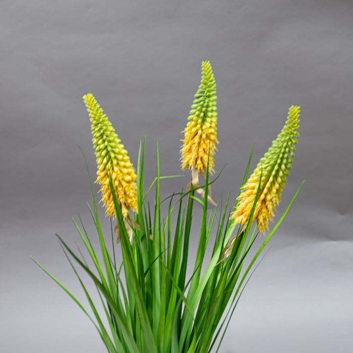 LONGJIN-70CM TORCH LILY GRD GR (413252211)