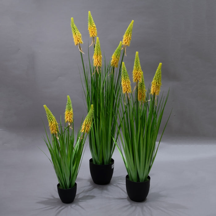 LONGJIN-120CM TORCH LILY GRS ORG (413252213)