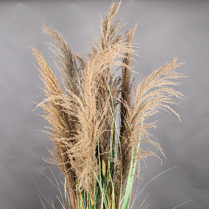 LONGJIN 72INCH DRIED PAMPAS GRASS WITH PLASTIC POT (413252064)