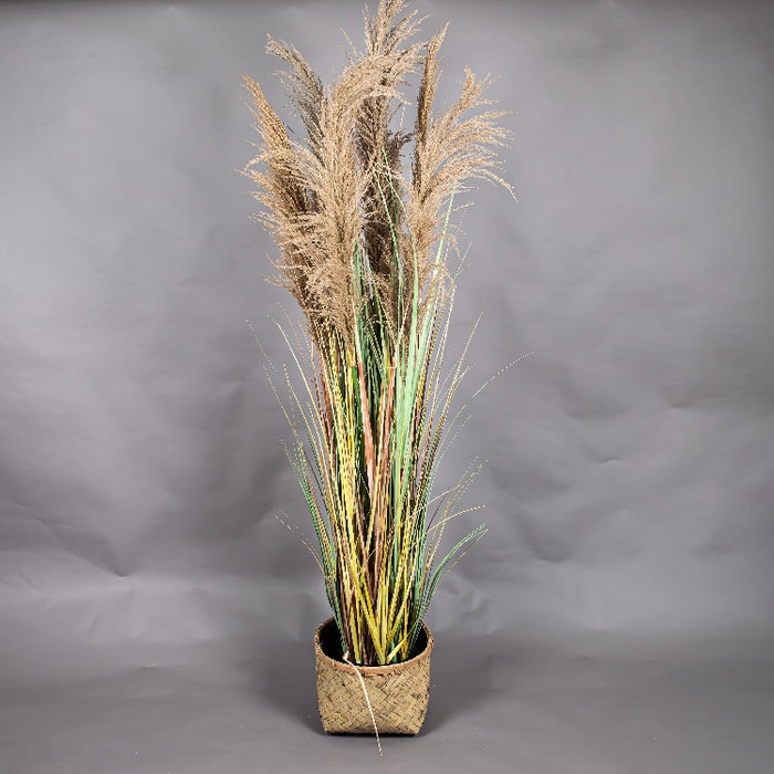 LONGJIN 72INCH DRIED PAMPAS GRASS WITH PLASTIC POT (413252064)