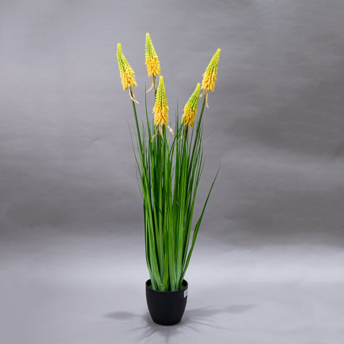 LONGJIN-120CM TORCH LILY GRS ORG (413252213)