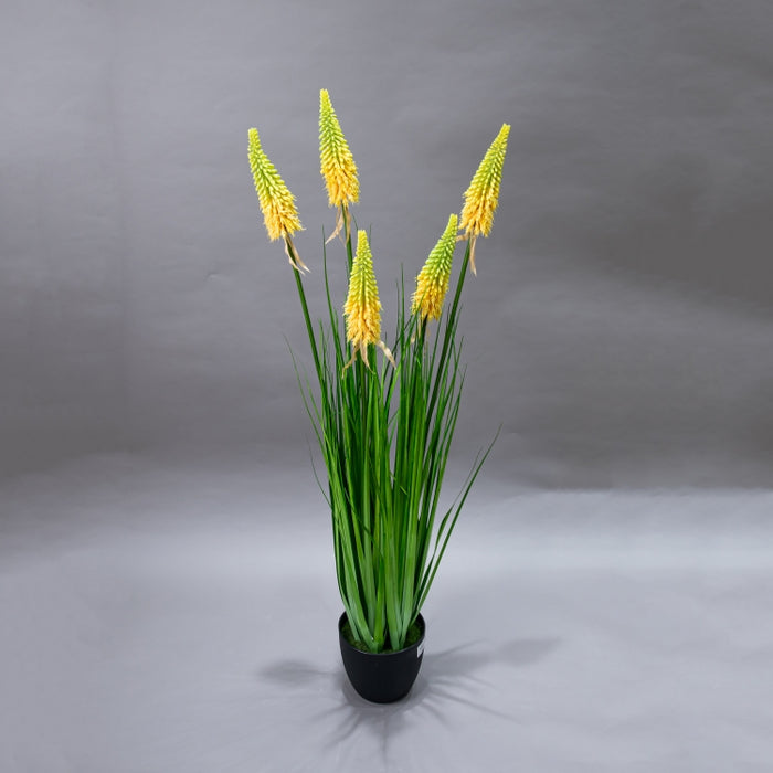 LONGJIN-120CM TORCH LILY GRS ORG (413252213)