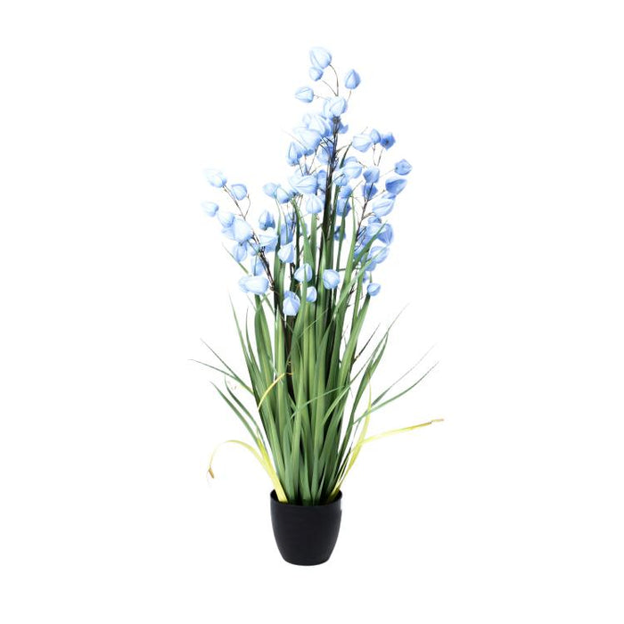 LONGJIBN-48" PHYSALIS LIGHT BLUE (413252246)