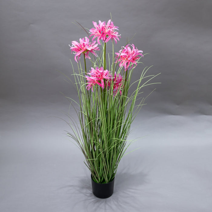 LONGJN-90CM PINK MAGIC LILY GRASS (413252191)