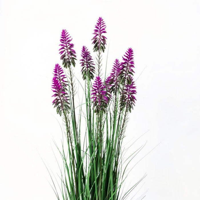 LONGJIN-48" FLOWER GRASS PURPLE (413252234)