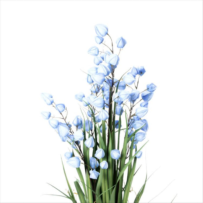 LONGJIBN-48" PHYSALIS LIGHT BLUE (413252246)