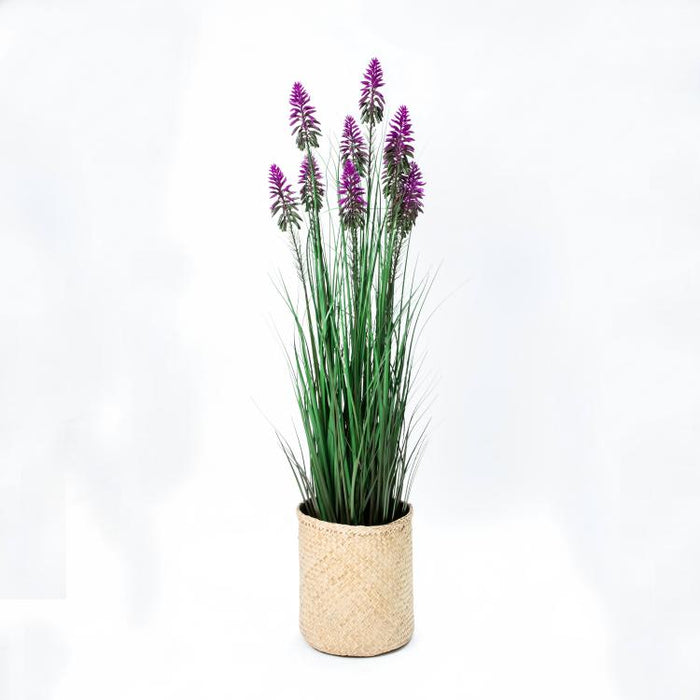 LONGJIN-48" FLOWER GRASS PURPLE (413252234)
