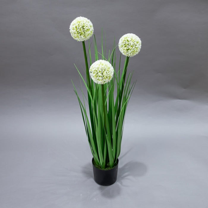LONGJIN-80CM ALLIUM GRASS GREEN (413252199)