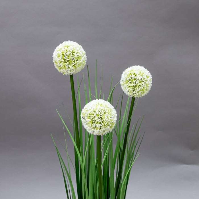 LONGJIN-80CM ALLIUM GRASS GREEN (413252199)