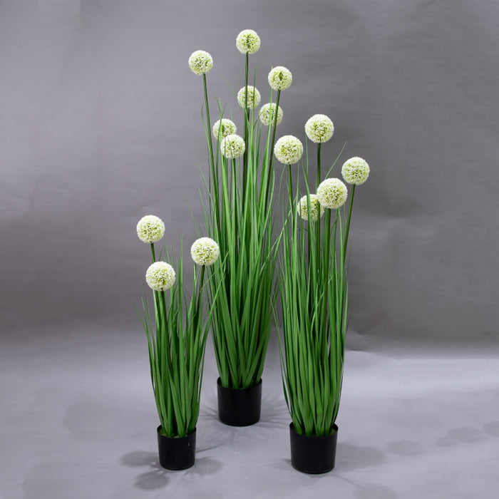 LONGJIN-80CM ALLIUM GRASS GREEN (413252199)