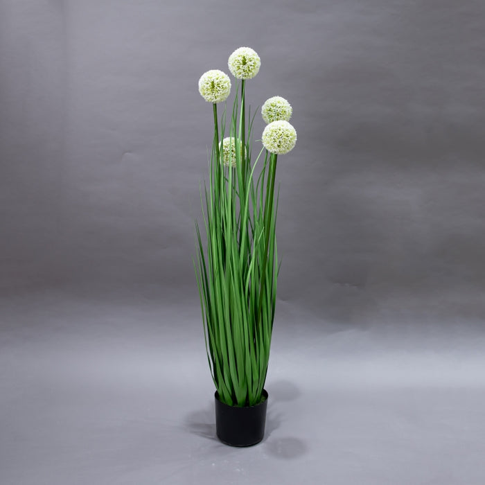 LONGJIN-110CM ALLIUM GRASS GREEN (413252200)