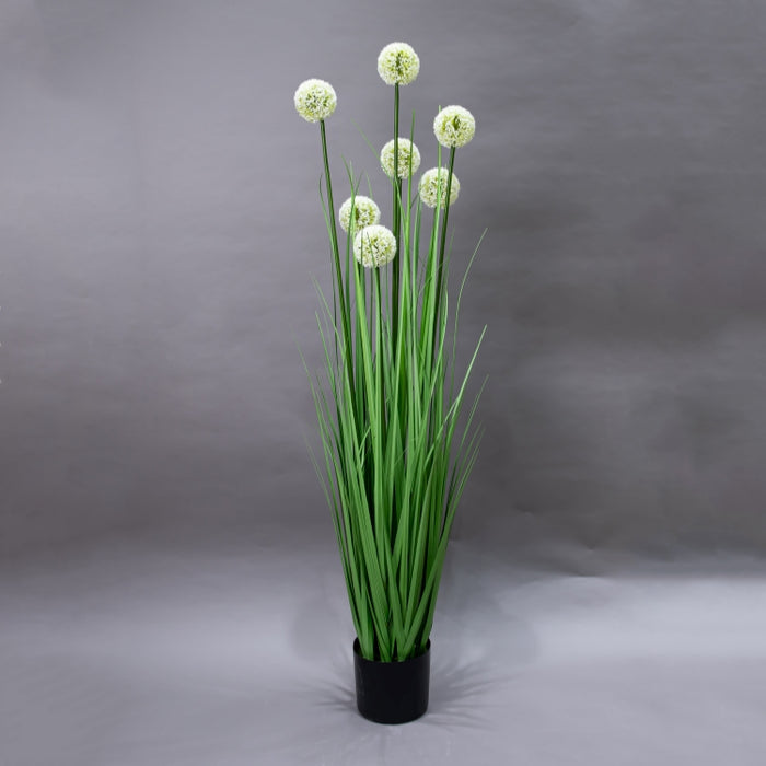 LONGJIN-140CM ALLIUM GRASS GREEN (413252201)