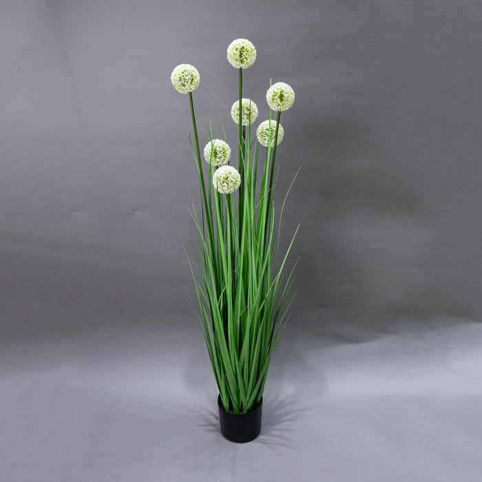 LONGJIN-140CM ALLIUM GRASS GREEN (413252201)