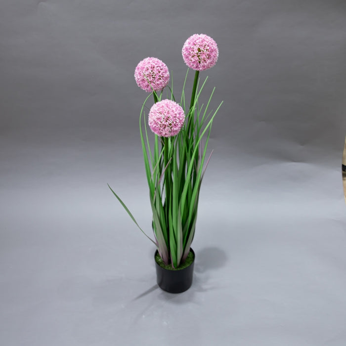 LONGJIN-80CM ALLIUM GRASS PINK (413252193)