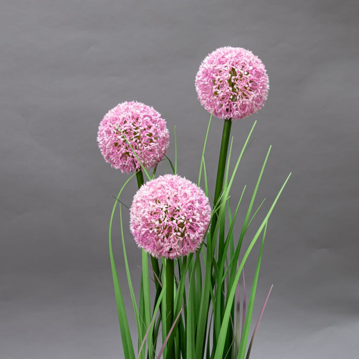 LONGJIN-80CM ALLIUM GRASS PINK (413252193)