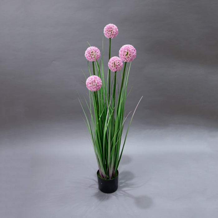LONGJIN-110C ALLIUM GRASS PINK (413252194)