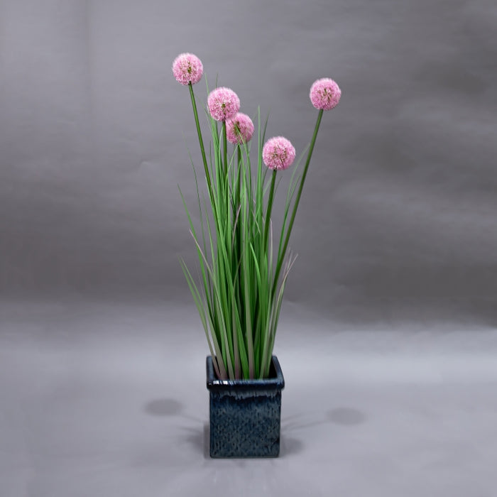 LONGJIN-110C ALLIUM GRASS PINK (413252194)