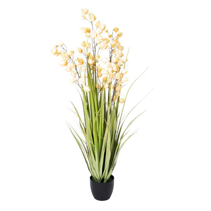 LONGJIN-60" PHYSALIS LIGHT ORANGE (413252244)