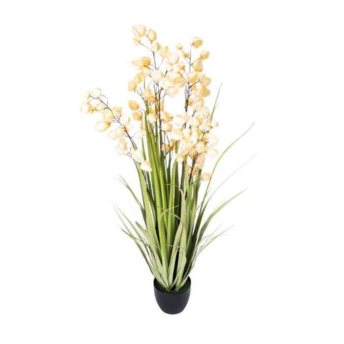 LONGJIN-60" PHYSALIS LIGHT ORANGE (413252244)