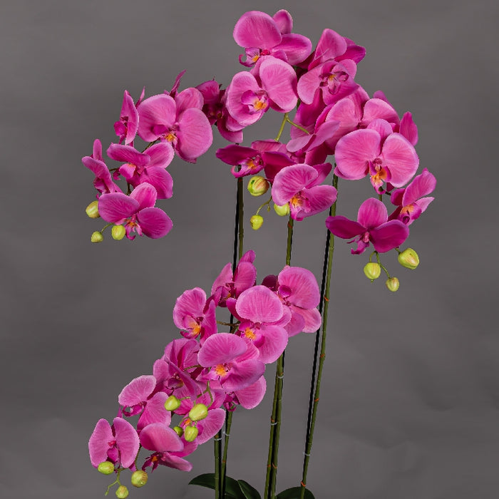 MEIRUI ORCHID WITH MOIST POT 115CM PURPLE (413252073)