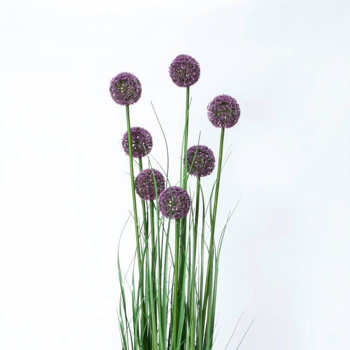 LONGJIN-55.1" ALLIUM GRASS PURPLE (413252241)