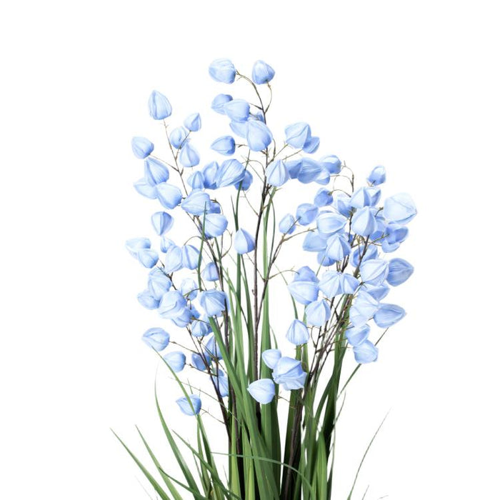 LONGJIN-60" PHYSALIS LIGHT BLUE (413252247)