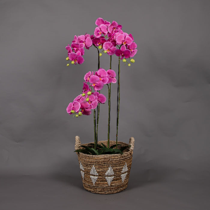 MEIRUI ORCHID WITH MOIST POT 115CM PURPLE (413252073)