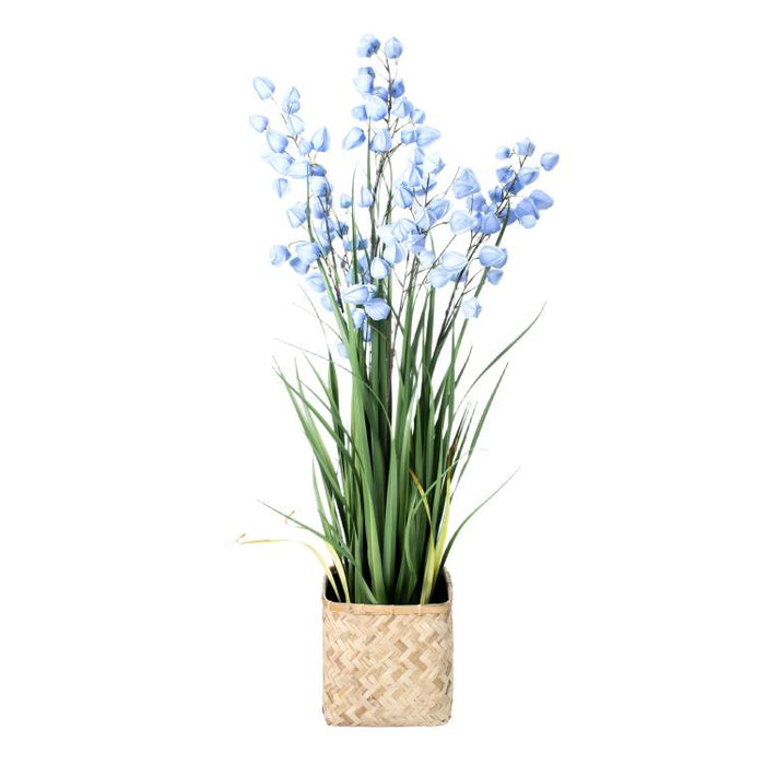 LONGJIN-60" PHYSALIS LIGHT BLUE (413252247)
