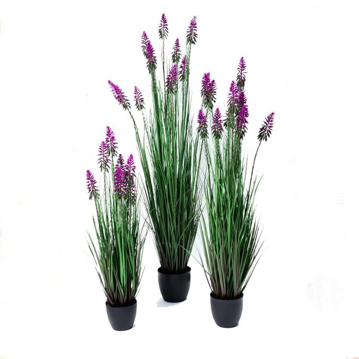 LONGJIN-60" FLOWER GRASS PURPLE (413252235)