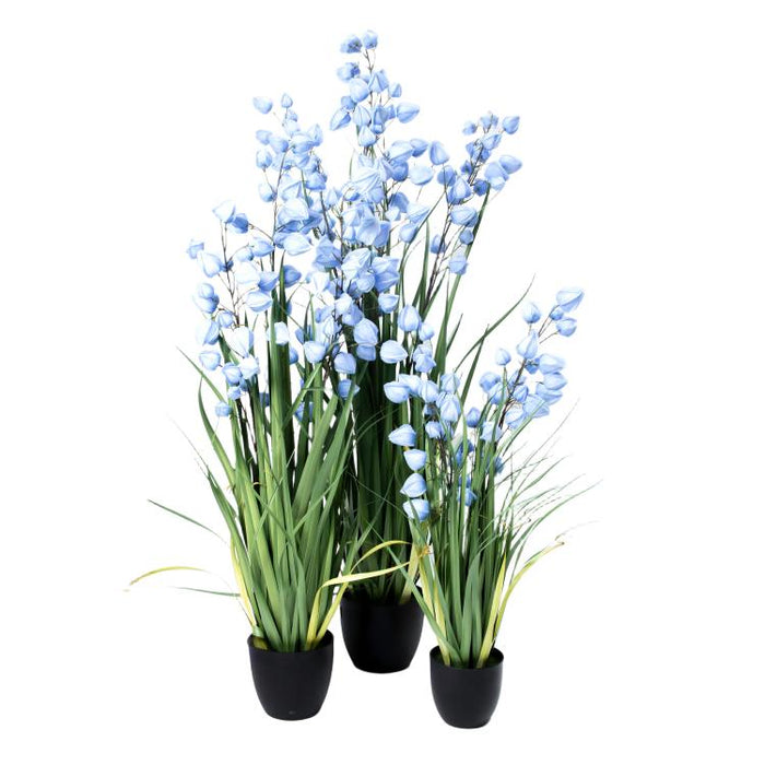 LONGJIN-60" PHYSALIS LIGHT BLUE (413252247)