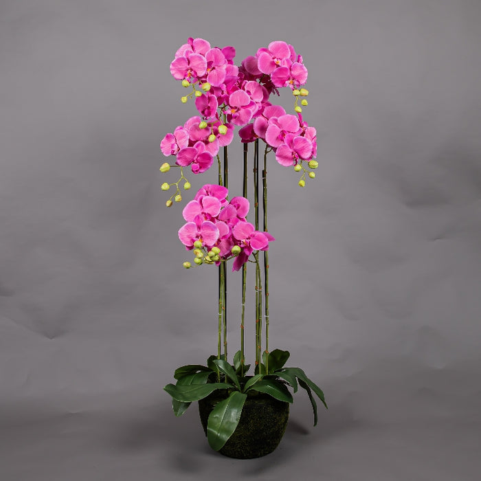 MEIRUI ORCHID WITH MOIST POT 118CM PURPLE (413252076)